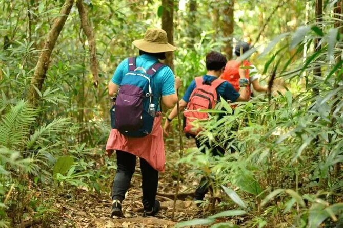 Mount Fansipan 2 Days Trek – Roof of Indochina - The summit zone: what you’re really going for besides views