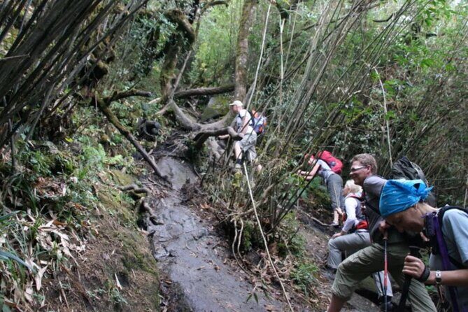 Mount Fansipan 2 Days Trek – Roof of Indochina - Food and timing: keeping energy steady for a 2-day push