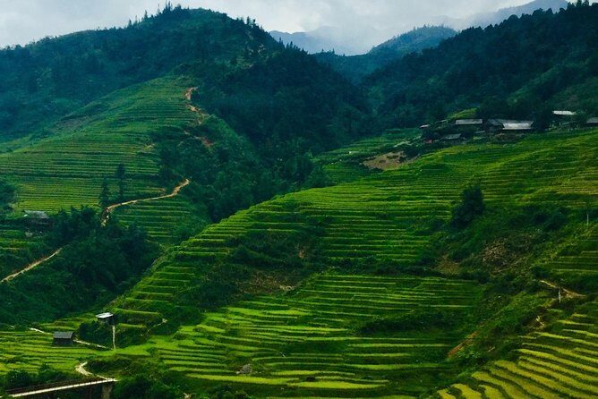 Mount Fansipan Hike 1 Day The Roof Of Indochina - Why Mount Fansipan Feels Like a Real Challenge in Sapa