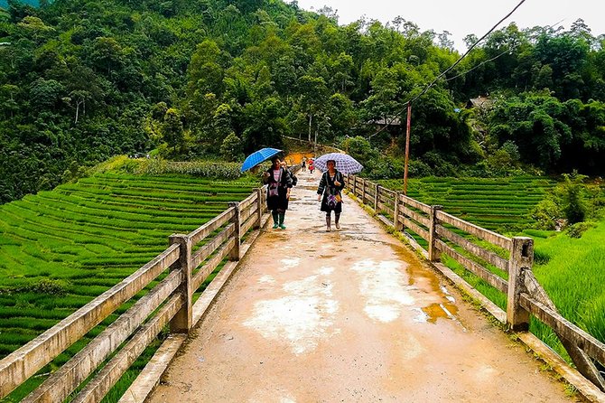 Muong Hoa Valley Trek & Homestay Experience - 4D3N - Day 4 down the Muong Hoa River toward Ban Ho: easy finish with the biggest river payoff