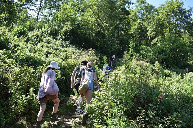 Muong Hoa Valley View & Village Trek in Sapa 1 Day - Muong Hoa Valley: Cliff Views and Terraced Challenge