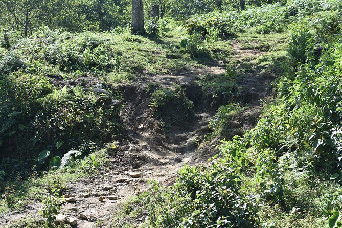 Muong Hoa Valley View & Village Trek in Sapa 1 Day - How Hard Is It Really? (Moderate, But Plan for a Workout)