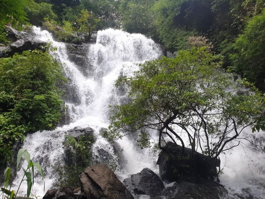 National Park - Paradise Cave & Phong Nha Cave - Lunch plus a breather on the Son River