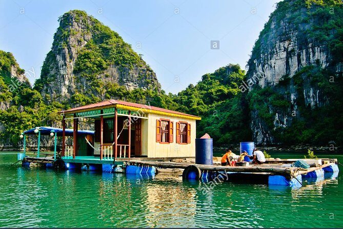 New Cruise Ha Long - CATAMARAN PREMIUM - The on-board lunch: seafood you’ll actually look forward to