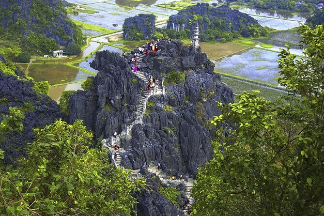 Ninh Binh 1 day Hoa lu Bai Dinh Trang an Mua Cave Small Group - Mua Cave: 500 Steps Up Dragon Mountain for the Best Views of the Day