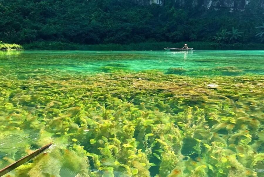 Ninh Binh 1-day tour Bai Dinh Trang An Mua Cave Small Group - Trang An boat cruise: your longest scenic block