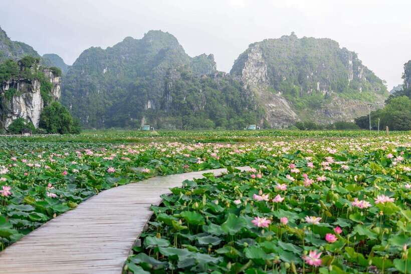 Ninh Binh : Bai Dinh Pagoda, Trang An, and Mua Cave Tour - Lunch at a local restaurant: fuel right in the middle of the day