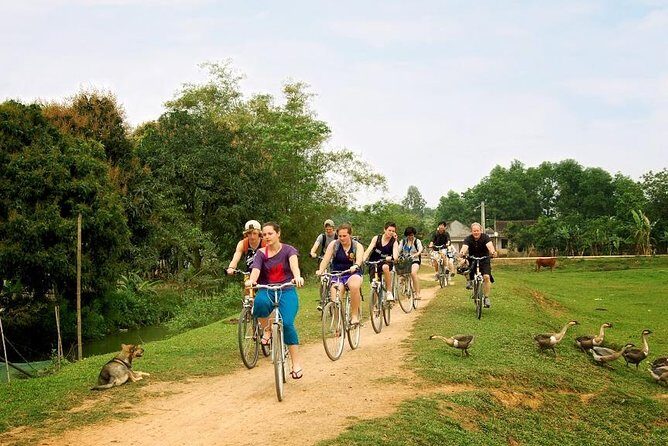 Ninh Binh - Bai Dinh - Trang An full day trip from Hanoi with luxury transfers - A smooth Ninh Binh day trip rhythm from Hanoi