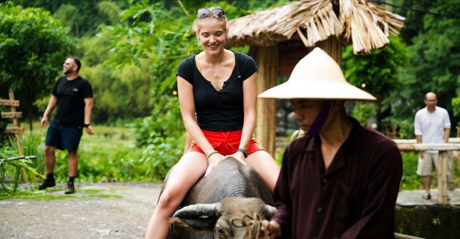 Ninh Binh: Buffalo riding, rice planting group tour - Key highlights