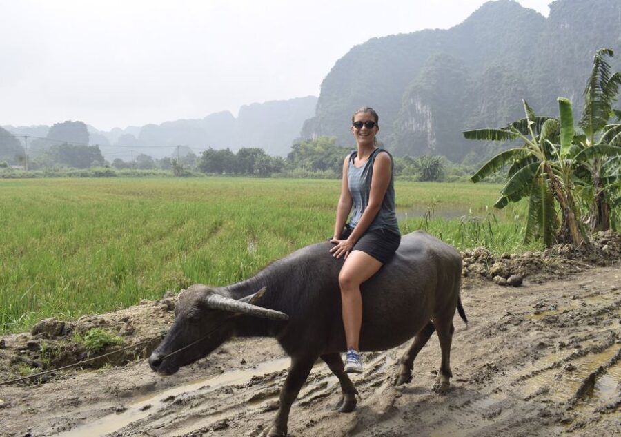 Ninh Binh: Buffalo riding, rice planting group tour - Who should book this buffalo riding and rice planting tour?