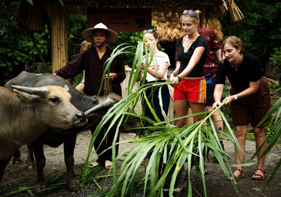 Ninh Binh: Buffalo riding, rice planting group tour - Fishing with nơm: hands-on learning and a better lunch story