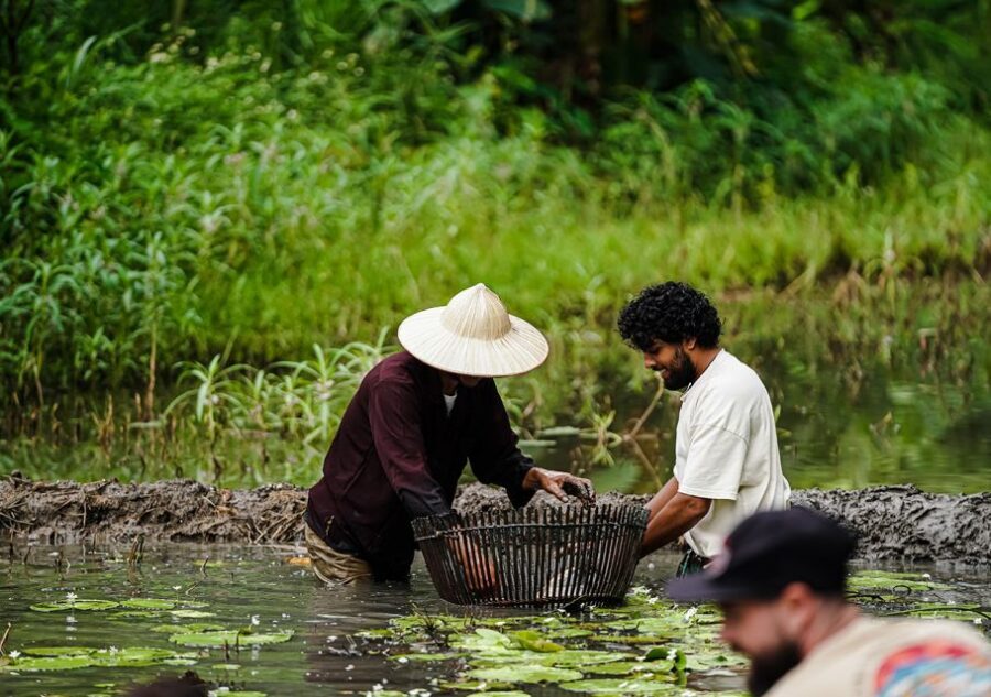 Ninh Binh: Buffalo riding, rice planting group tour - Planting Vietnamese rice with locals: mess, rhythm, and patience