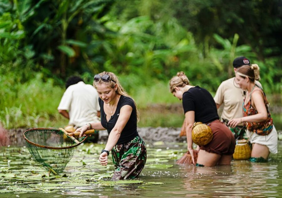 Ninh Binh: Buffalo riding, rice planting group tour - Waterfall bathing and a Buffalo Cave visit: cool down and reset