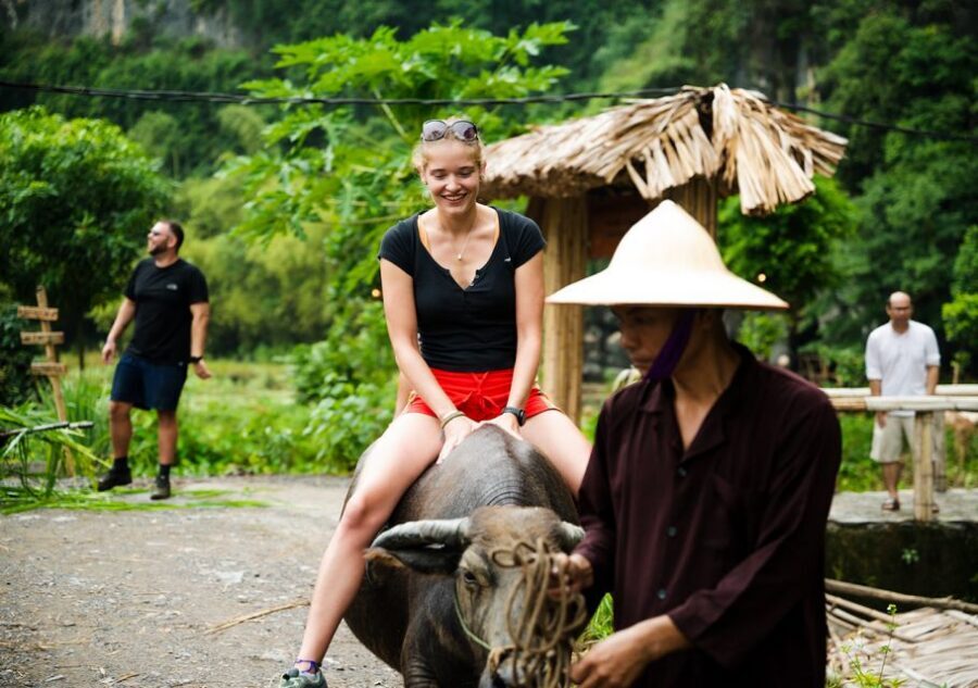 Ninh Binh: Buffalo riding, rice planting group tour - Buffalo feeding, showering, and the buffalo ride reality check