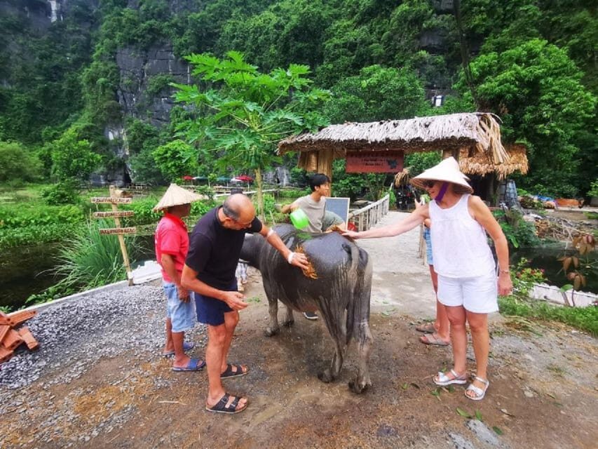 Ninh Binh : Countryside Tour by Motorcycle - Buffalow Riding - Thai Vi Temple: more than a quick photo stop