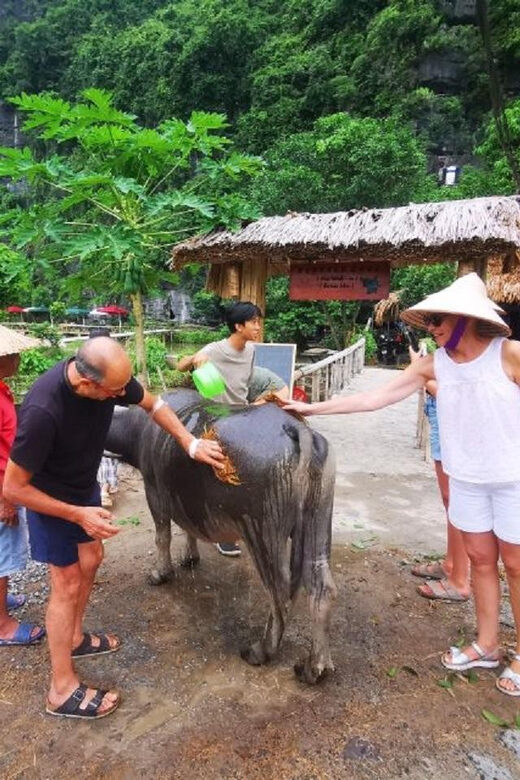 Ninh Binh : Countryside Tour by Motorcycle - Buffalow Riding - 9:00 pickup and the ride through real village roads