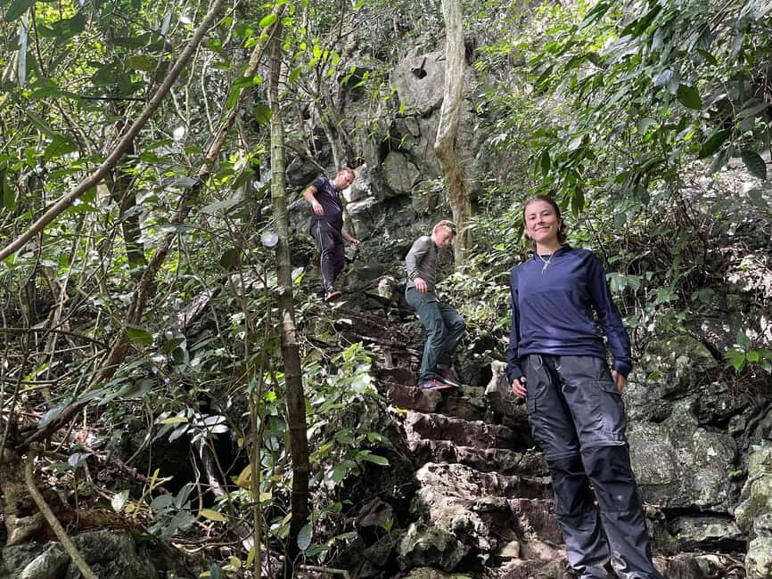 Ninh Binh: Cuc Phuong Jungle Trek, Wildlife & Ancient Caves - The jungle walk toward the Cho Tree: shaded trails and real nature pace