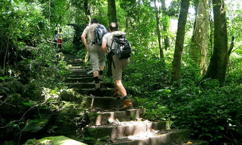 Ninh Binh : Cuc Phuong National Park One Day Group Tour - Quick hits