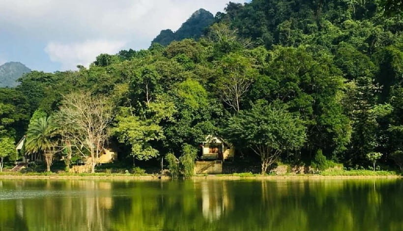 Ninh Binh : Cuc Phuong National Park One Day Group Tour - Why Cuc Phuong Feels Different From Ninh Binh Temptations