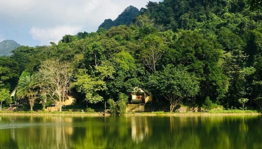 Ninh Binh : Cuc Phuong National Park One Day Group Tour - When the Day Ends: Back to Tam Coc and Home Drop-Off