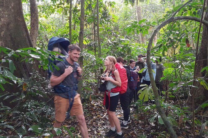 Ninh Binh: Cuc Phuong Natonal Park, Jungle Hike, Caving, Guide - Getting to Cuc Phuong: Ninh Binh pick-up and a long, smooth day