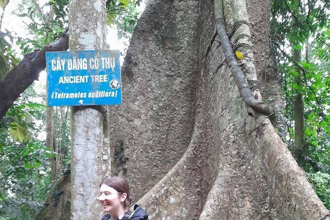Ninh Binh: Cuc Phuong Natonal Park, Jungle Hike, Caving, Guide - What the small group really changes