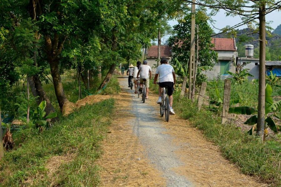 Ninh Binh Daily: Hoa Lu, Mua Cave, Tam Coc, Bike & Swimming - Price and Value: What $72 Buys You (and What It Doesn’t)