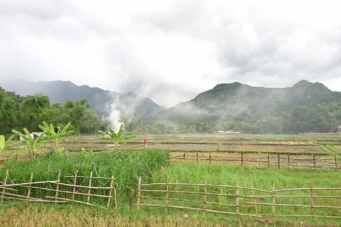 Ninh Binh Daily Tour All-Inclusive Bus, Guide, Lunch & Activities - Bai Dinh Pagoda: big records, quick context, easy photo stops