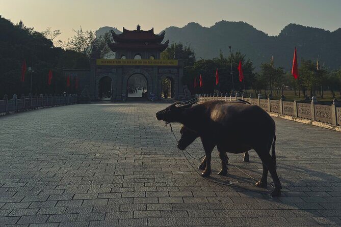 Ninh Binh Day Escape from Hanoi: Local Life, Connection & Tales - Key highlights you’ll feel right away
