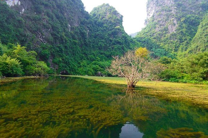 Ninh Binh Day Tour: Bai Dinh Trang An boat trip - Who this Ninh Binh day tour is best for