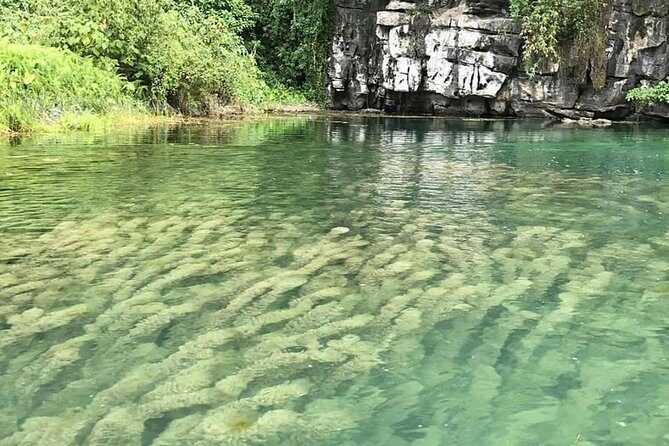 Ninh Binh Day Tour: Bai Dinh Trang An boat trip - Should you book the Bai Dinh and Trang An boat trip?
