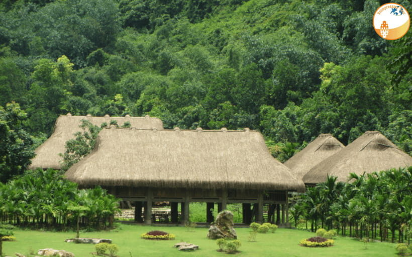 NINH BINH DAY TRIP: HOA LU,MUA CAVES &THUNG NHAM BIRD VALLEY - Flower Paradise or fruit picking: choose your own “last chapter”