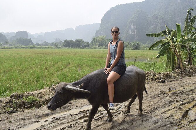 Ninh Binh eco group tour - Buffalo riding, rice planting, fishing - The cooking class: turning farm effort into your meal