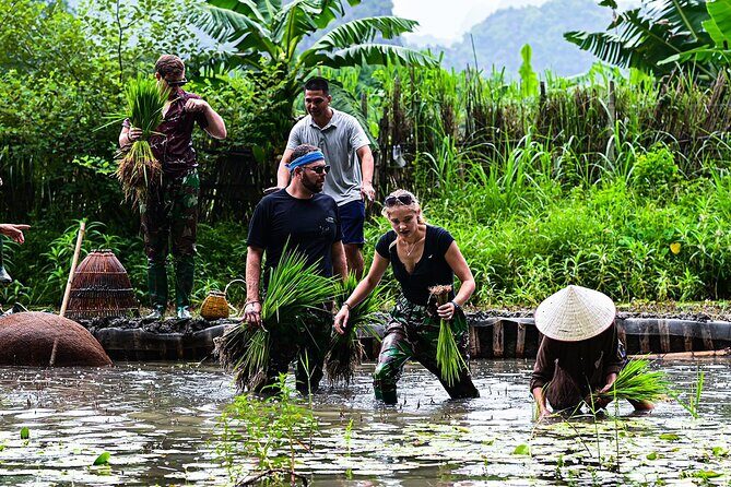 Ninh Binh eco group tour - Buffalo riding, rice planting, fishing - Who this tour suits best