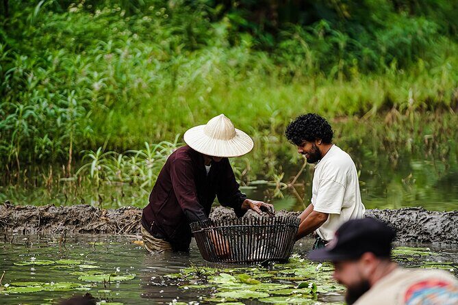Ninh Binh eco group tour - Buffalo riding, rice planting, fishing - Water buffalo riding: fun, but respect comes first