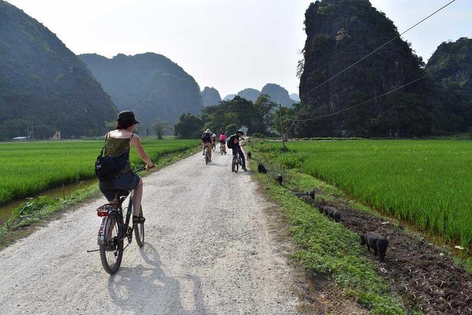 Ninh Binh Full Day Tour: Bai Dinh Pagoda - Trang An - Mua Cave - When this tour is a great fit