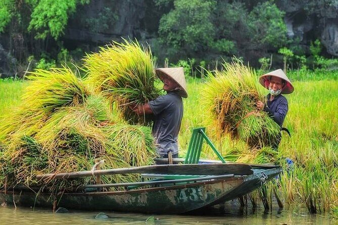 Ninh Binh Full-Day Tour Hoa Lu Tam Coc Cycling, Boat,Buffet Lunch - Cycling Through Villages and Rice Paddies: a reset after the caves
