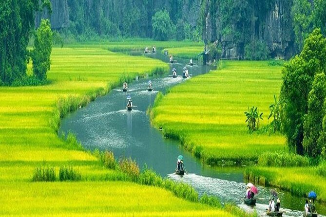 Ninh Binh Full-Day Tour Hoa Lu Tam Coc Cycling, Boat,Buffet Lunch - Who should book this tour, and who might prefer something else?