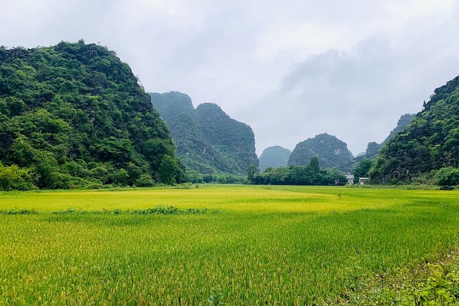Ninh Binh Full Day Trip From Hanoi To Hoa Lu, Trang An, Mua Cave - Key things to know before you go