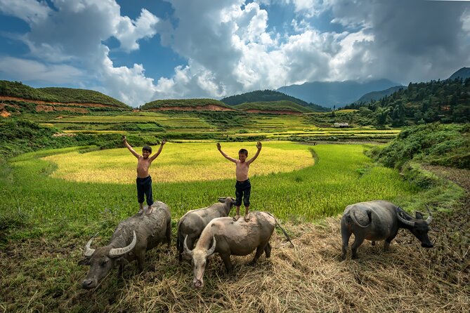 Ninh Binh Group Tour of 11 from Hanoi via Mua Cave Tam Coc Hoa Lu - Tam Coc Sampan Boat: Caves, Paddling, and the Best Kind of Slow