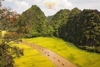 Ninh Binh Highlights Tour - Hoa Lu, Trang An And Mua Cave - Hoa Lu Ancient Capital: temples of Kings Dinh and Le, plus a countryside bike ride