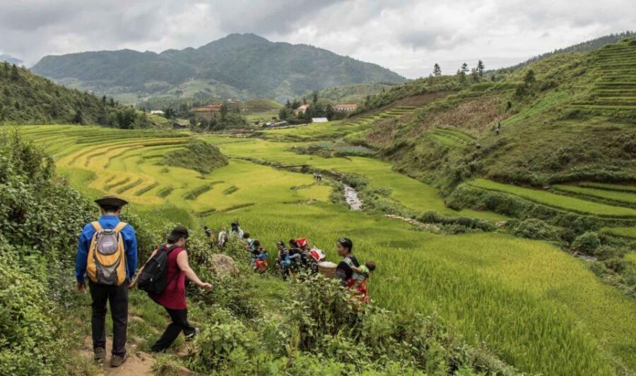 Ninh Binh: Hoa Lu, Bich Dong, Trang An& Mua Cave Small Group - What to Bring (and What to Skip) for a Smoother Day