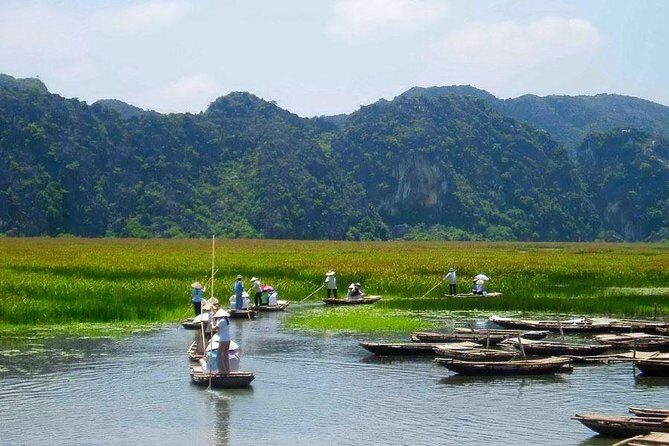 Ninh Binh - Hoa Lu - Mua Cave - Tam Coc 1 Day Tour - Biking through the rice fields: more than scenery