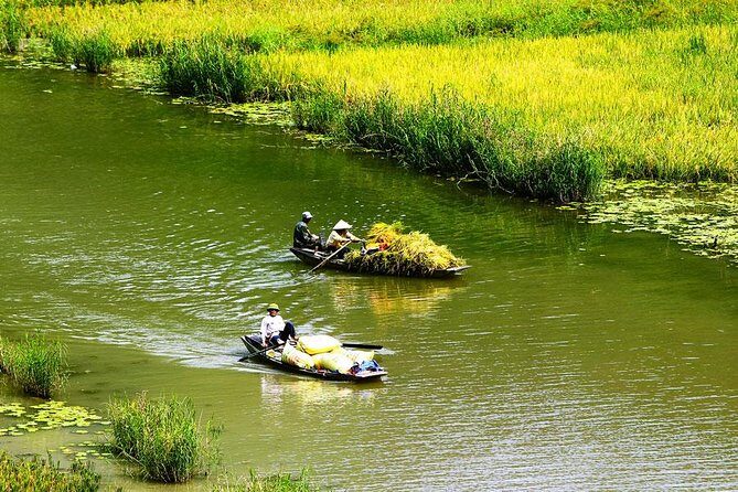Ninh Binh-Hoa Lu-Tam Coc - Mua cave - Dragon Mountain Hiking 1 Day Tour - Lunch That Actually Tastes Like Vietnam (With Vegetarian Option)