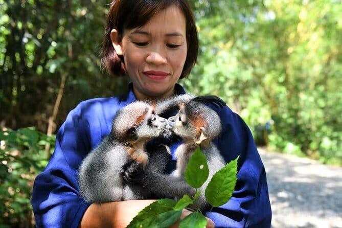 Ninh Binh One Day Cuc Phuong National Park Small Group Tour - Key things worth knowing