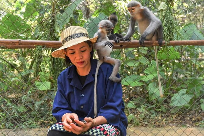 Ninh Binh One Day Cuc Phuong National Park Small Group Tour - Cuc Phuong in One Day: getting the big nature reserve feel