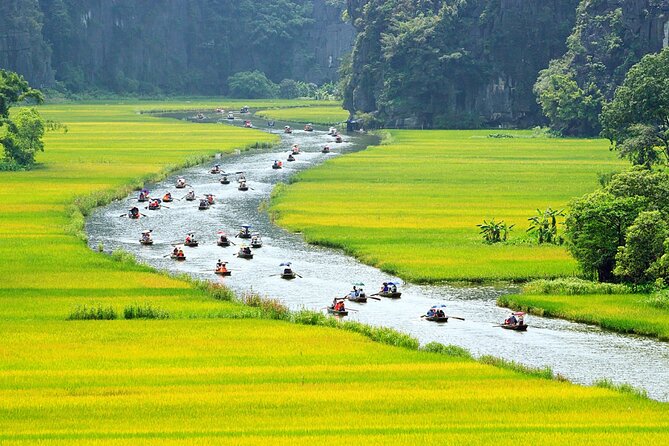 Ninh Binh One Day Trips- from Hanoi - Guide and Group Size: Where You’ll Feel the Difference