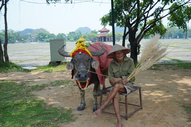 Ninh Binh One Day Trips- from Hanoi - Practical Tips: Sun, Photos, and Timing That Actually Helps
