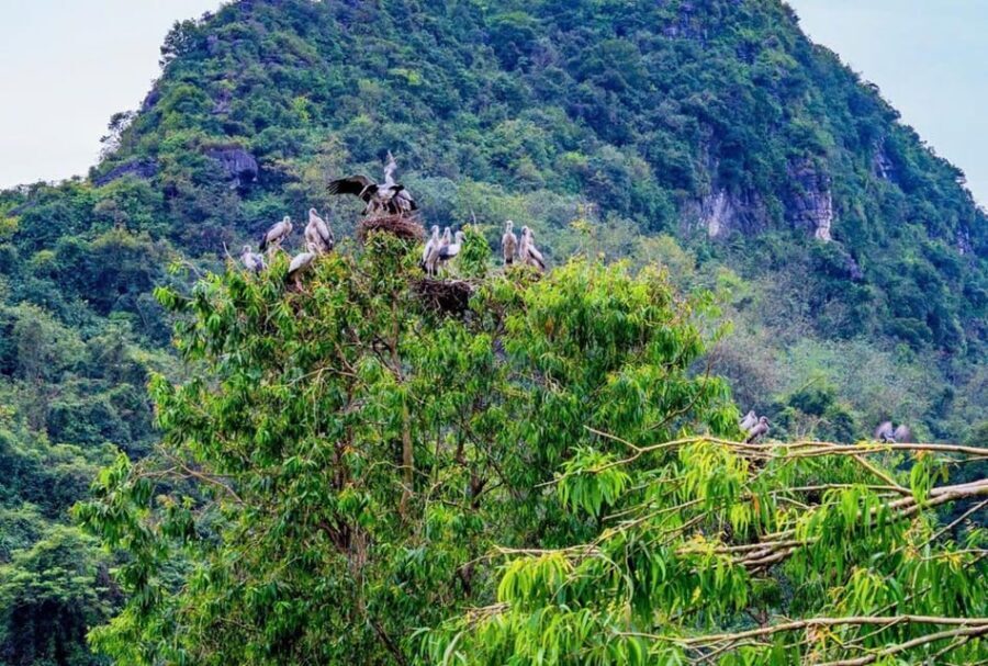 Ninh Binh Private Tour: Tam Coc, Bich Dong and Thung Nham - Price and value: what $151 includes (and who it fits)