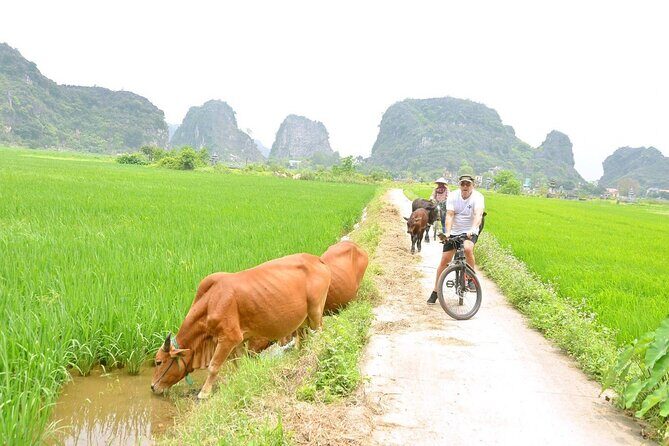 Ninh Binh Private Tour to Mua Cave Trang An Grottoes From Hanoi - Hang Mua and Mua Cave: the 500 steps that pay off
